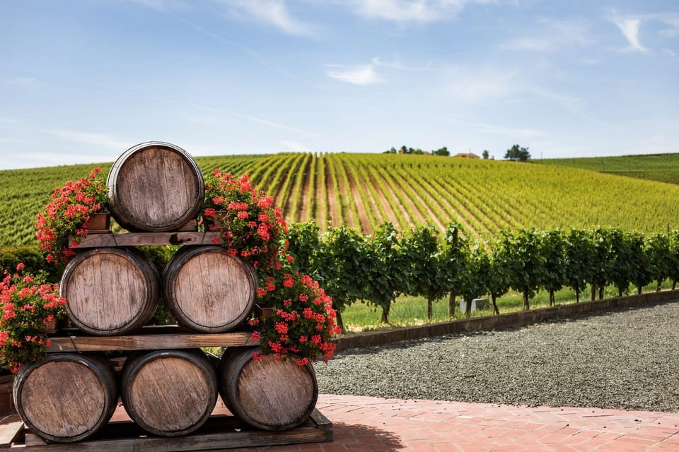 Merlot Silence 2018